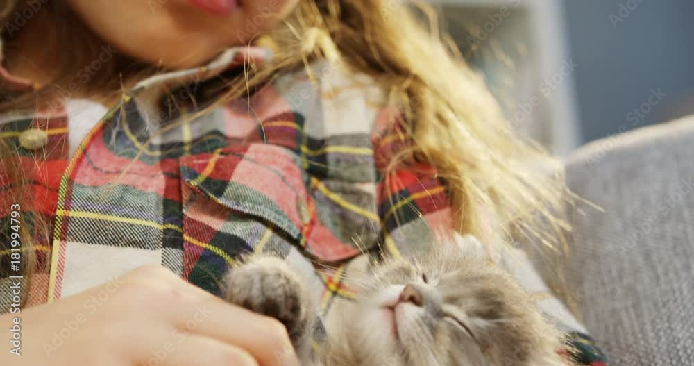 Camera moving from a close up of a cute little kitten sleeping to the small little girl face who hoding a kitty and petting it. Leisure time. Portrait. Indoors Camera moving from a close up of a cute little kitten sleeping to the small little girl face who hoding a kitty and petting it. Leisure time. Portrait. Indoors