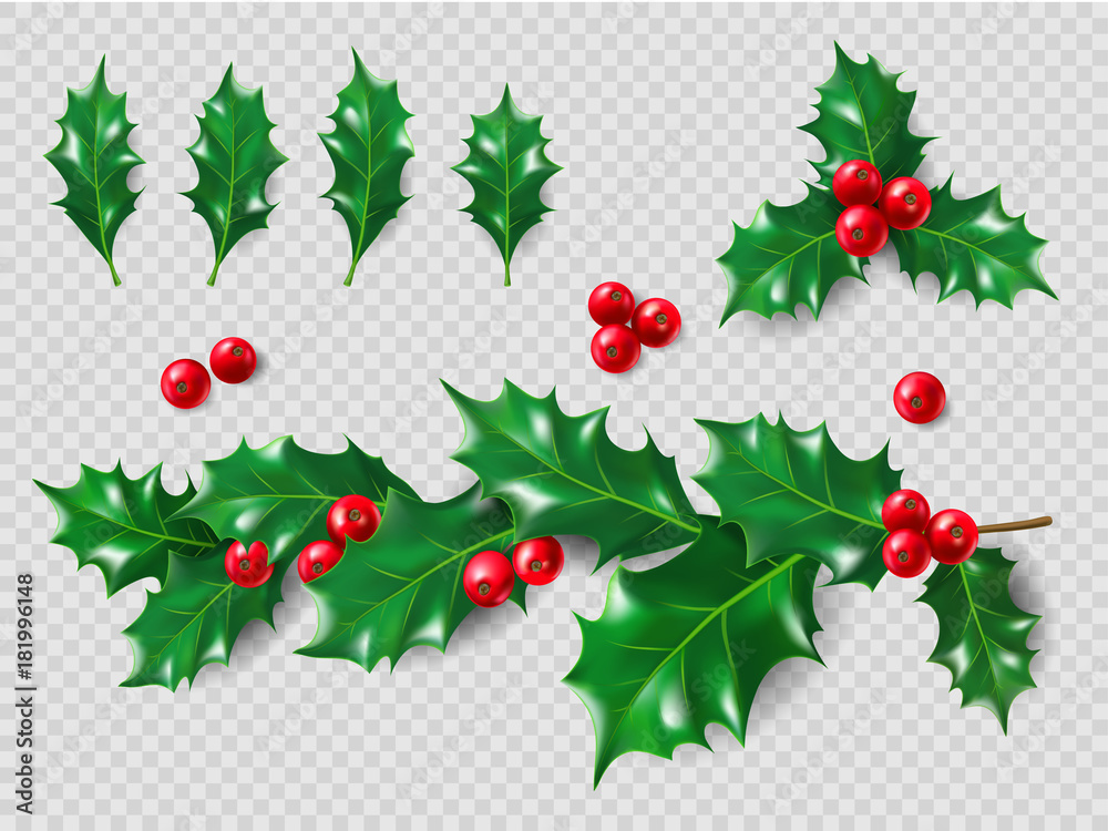 Red Berries Vector Set Bunch Of Holly Berries Set Of Christmas And New Year  Clip Art Realistic Objects Eps10 Stock Illustration - Download Image Now -  iStock