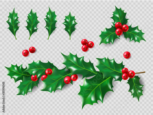 Holly Set. Realistic leaves, branch, red berries. Christmas and New Year decorations. 3d illustration for your layout design.