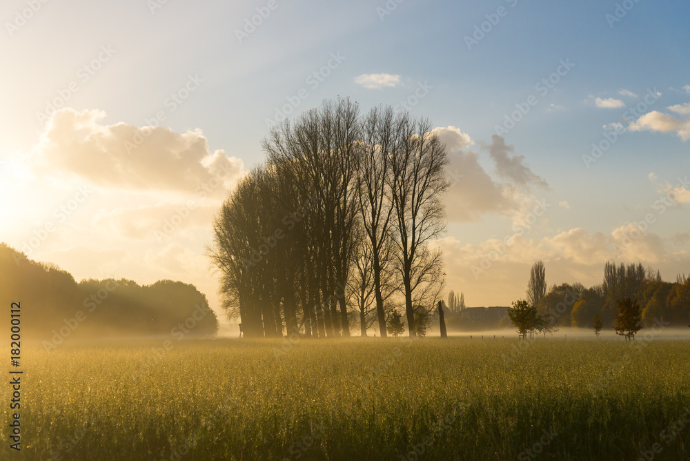 Obraz premium Morning scenery and silhouette of the farm, nature ,fog and yellow sunshine flare in suburban Düsseldorf, Meerbusch Germany