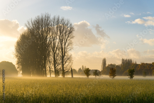 Fototapeta Naklejka Na Ścianę i Meble -  Morning scenery and silhouette of the farm, nature ,fog and yellow sunshine flare in suburban Düsseldorf, Meerbusch Germany