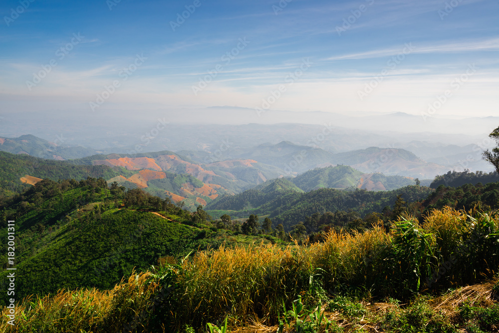 Naklejka premium Landscape of forest in sierra that some part was deforestation by human, Nan, Northern of Thailand