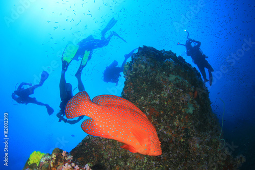 Fototapeta Naklejka Na Ścianę i Meble -  Scuba dive