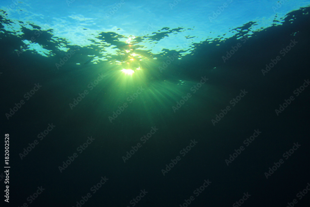Obraz premium Underwater blue background and sunlight