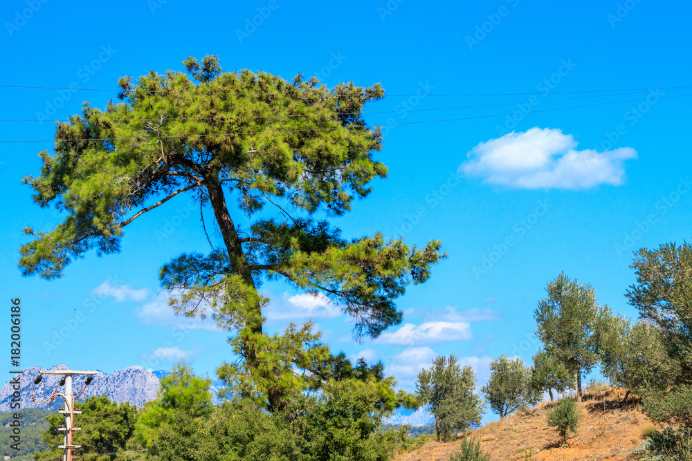 Fototapeta premium Mountains landscape on a sunny day