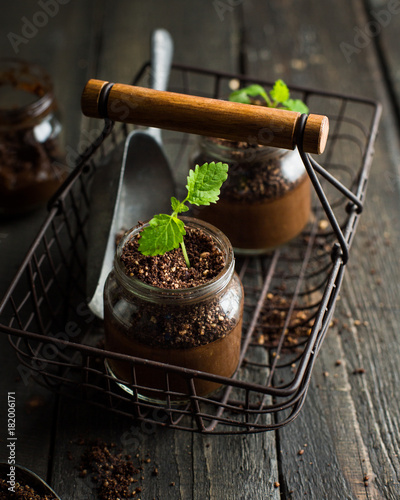 Vegan chocolate banana avocado mousse in a jar. A green sprout of mint grows from mousse. An unusual original serving of a tasty useful dessert. 