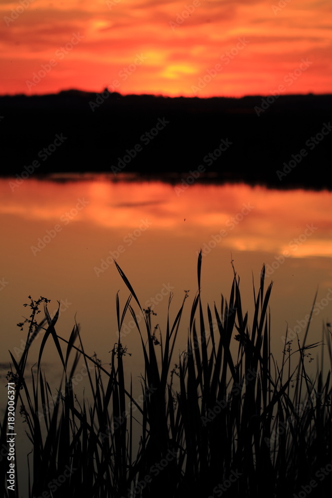 Sunset with grass and river or lake