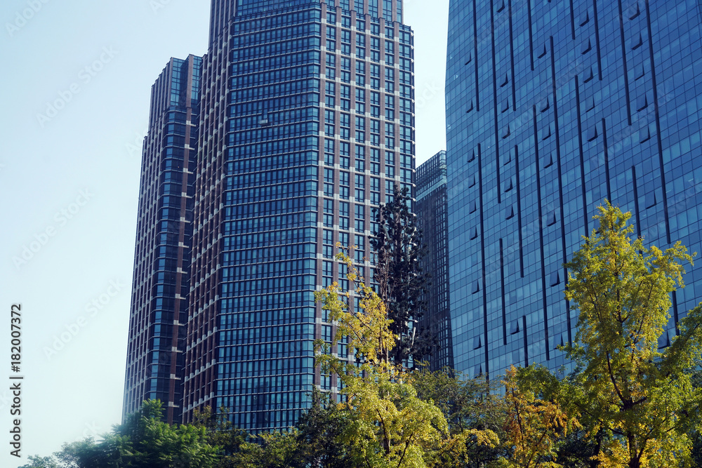 Modern office building with autumn tree in downtown area