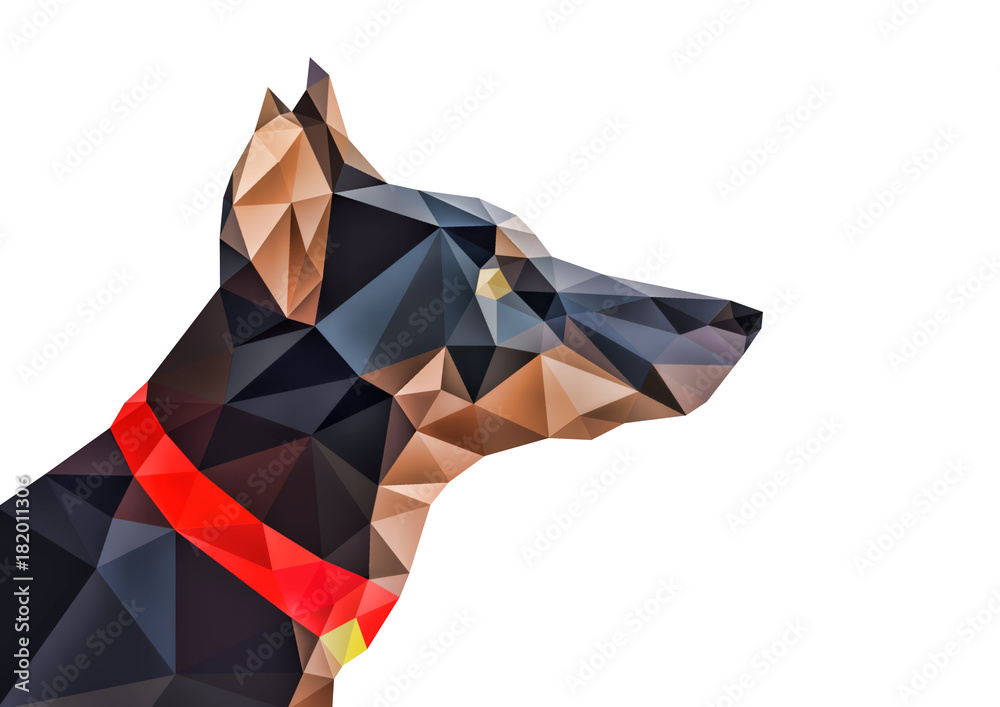 Photography 多角形で出来た抽象的な犬