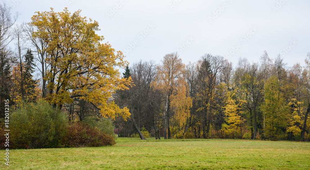 Autumn scenery in Saint Petersburg, Russia