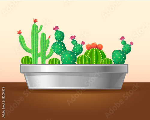 Decorative Green Plants Concept