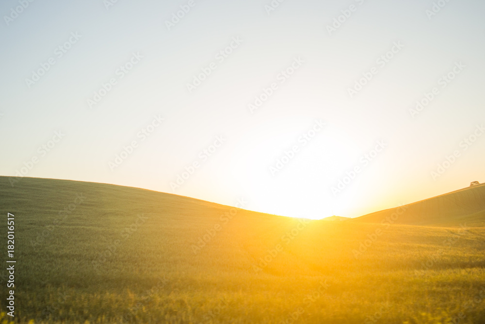Fototapeta premium Sunrise On An Open Field