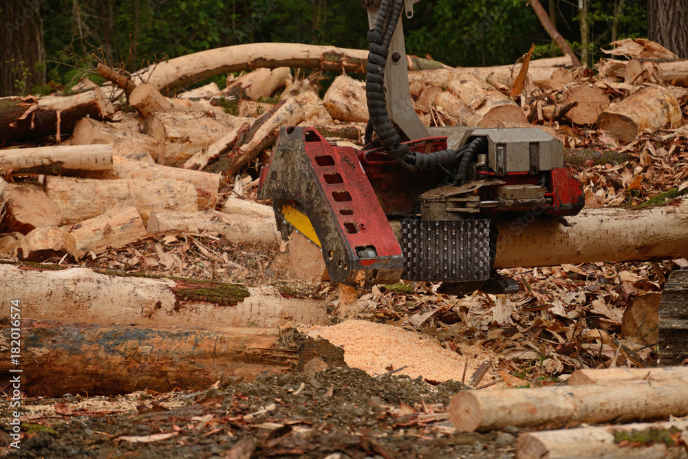 Αυτοκόλλητο the automatic log cutter attachment on this digger trims logs to length