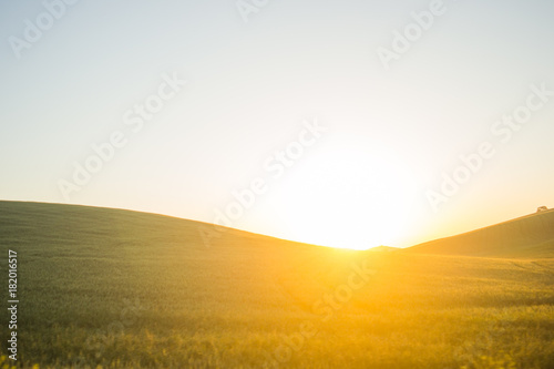 Sunrise On An Open Field
