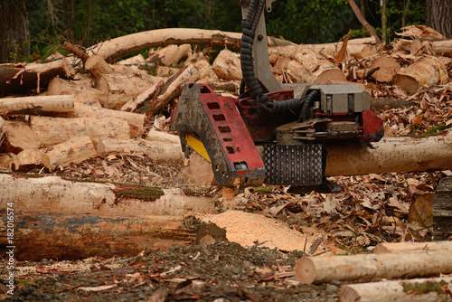 Φωτογραφία the automatic log cutter attachment on this digger trims logs to length