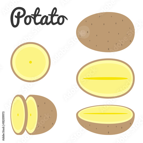 Vector set of potato, half and slice potato