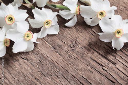 Fototapeta Naklejka Na Ścianę i Meble -  narcissus on wooden background