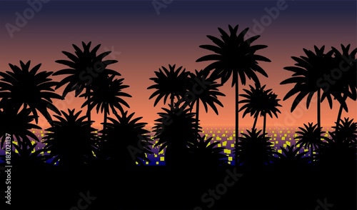 Sunset with palms