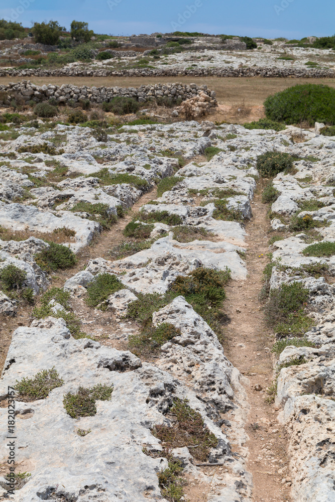 Mysterious ancient cart ruts at Misrah Ghar il-Kbir aka Clapham Junction, a prehistoric site near the Dingli Cliffs, Siggiewi, Malta