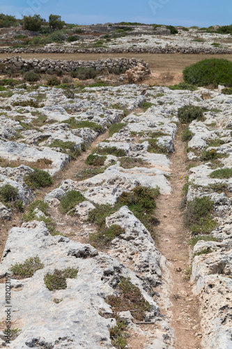 Mysterious ancient cart ruts at Misrah Ghar il-Kbir aka Clapham Junction, a prehistoric site near the Dingli Cliffs, Siggiewi, Malta photo