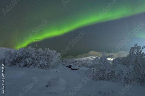 Winter,snow on the trees and Aurora,Northern lights in the night sky. © Moroshka