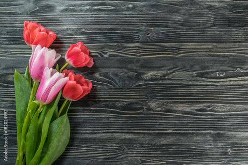 Fototapeta Naklejka Na Ścianę i Meble -  Tulip flowers on wooden background