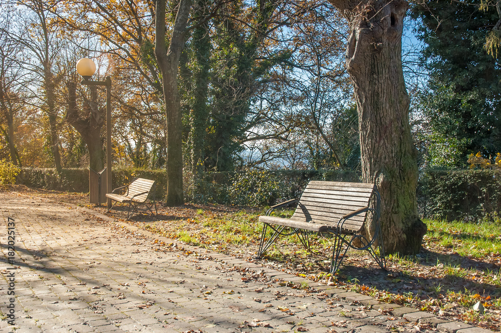 Benches along a cobblestones alley in the park, under the tepid autumnal sun