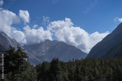 Peak and Forest in the Himalaya mountains, Annapurna region, Nepal © Raimond Klavins