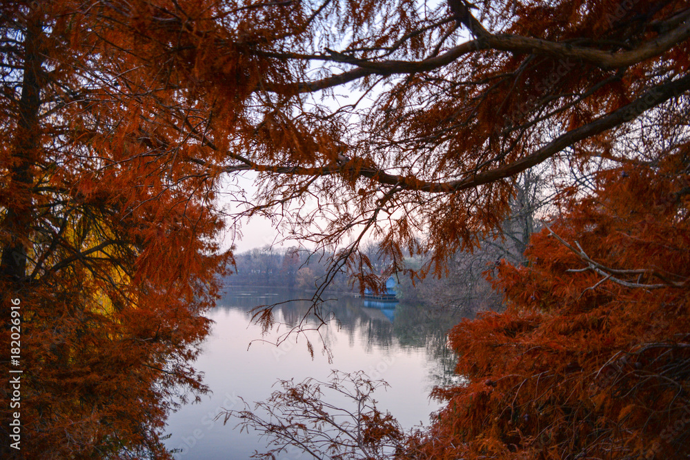 Obraz premium Autumn trees and colors in the park