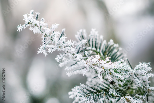 Winter and Christmas Background © Olena Ilienko