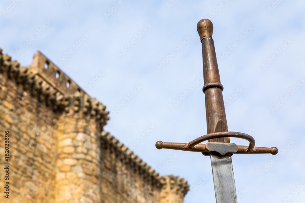 siege to the castle with swords