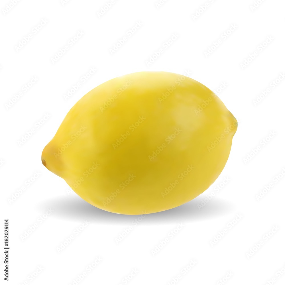 Lemon on the white background. Vector illustration