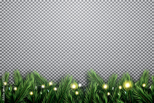 Fir Branch with Neon Lights on Transparent Background.