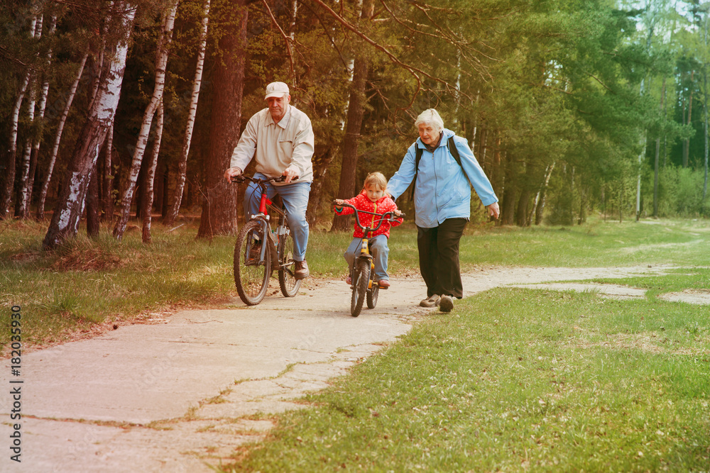 Fototapeta premium active grandparents teaching granddaughter to ride bike