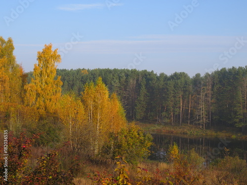 Autumn. Tree. Bryansk oblast. (The Vast Russia! Sergey, Bryansk.)