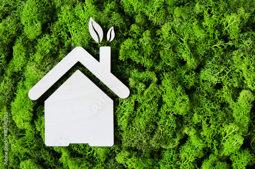 Eco green house concept