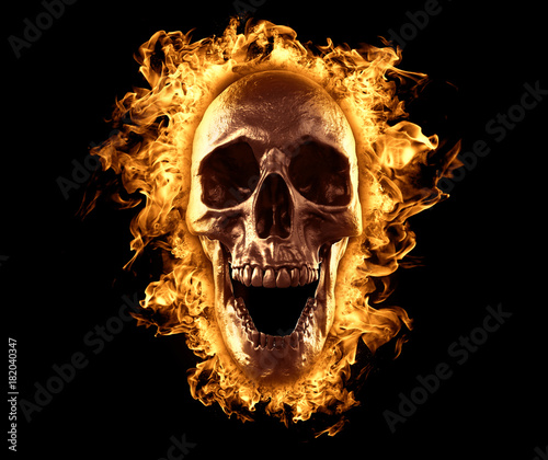 Skull burned in fire wallpaper 3d rendering