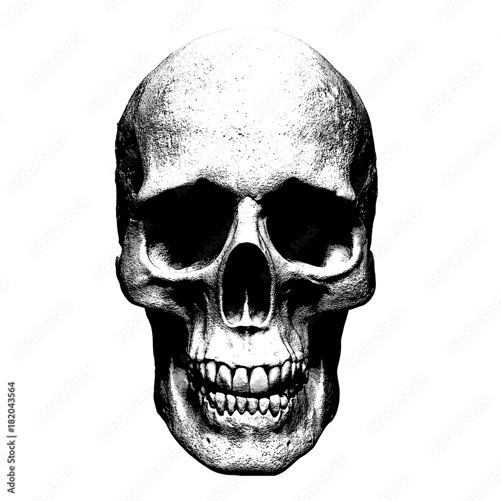 illustration of a skull isolated background illustration of a skull isolated background