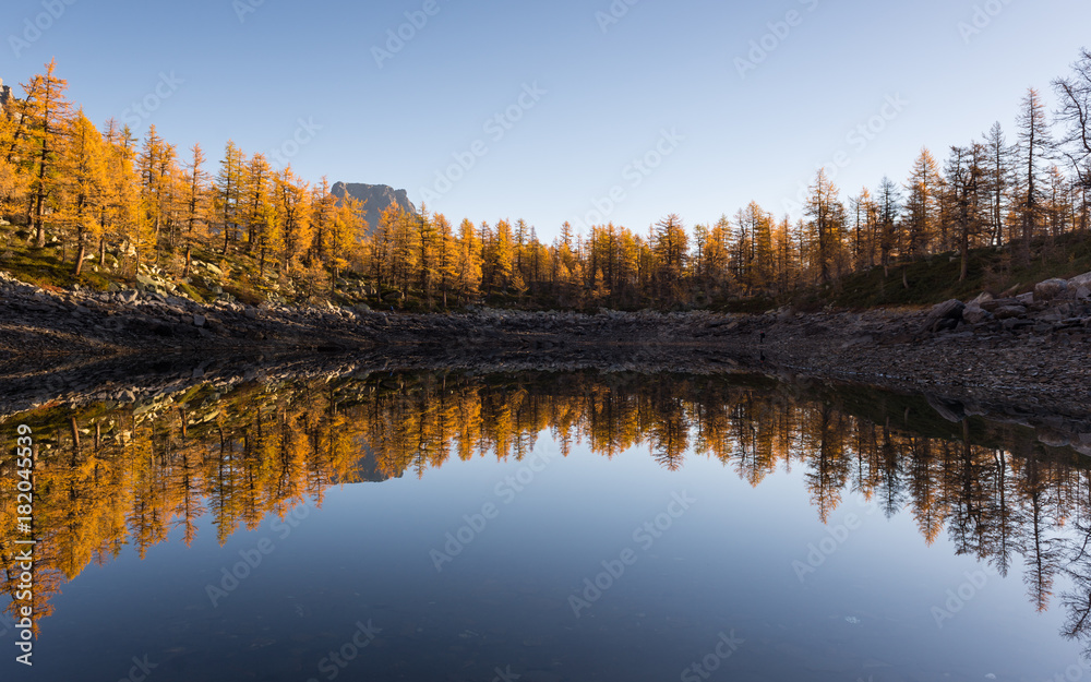 Mountain lake colorful larches reflection in sunny autumn fall day outdoor.