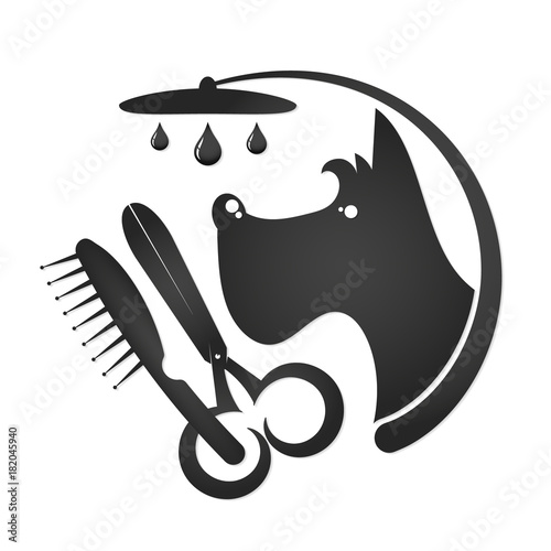 Grooming and washing dogs