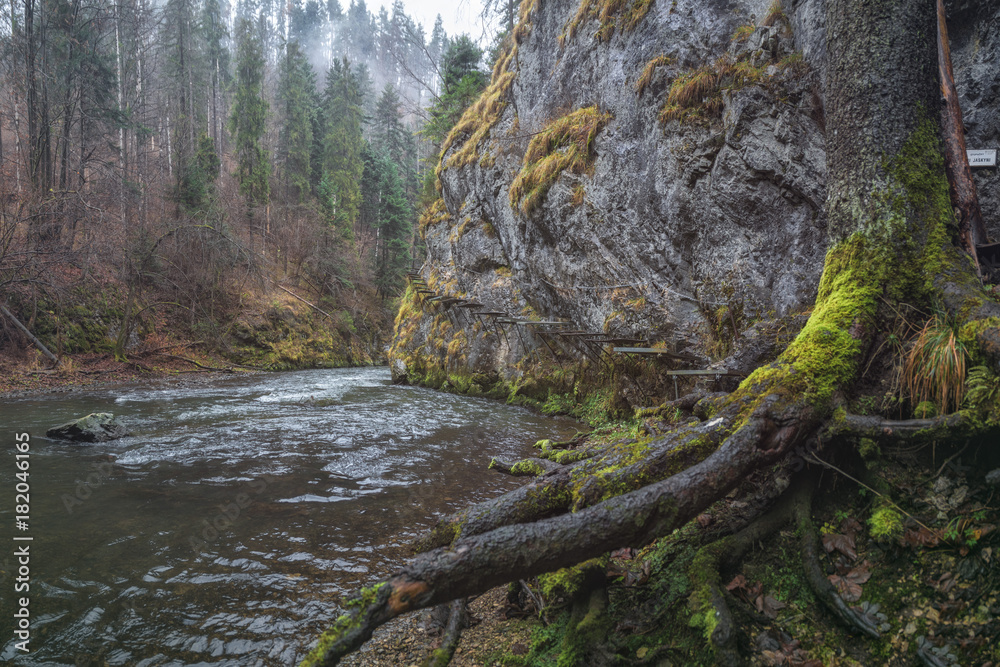 Fototapeta premium Beautiful Canyon created by Hornad River in Slovensky Raj (Slovak Paradise), Slovakia