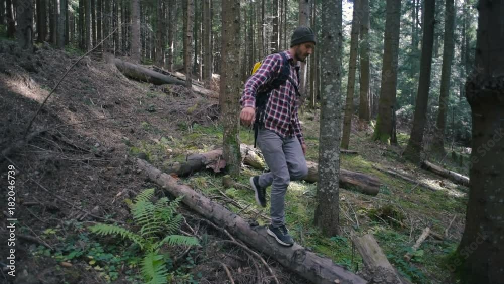 man hiking in the forest with backpack man hiking in the forest with backpack