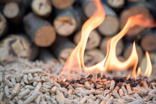 Burning biomass bellets photo