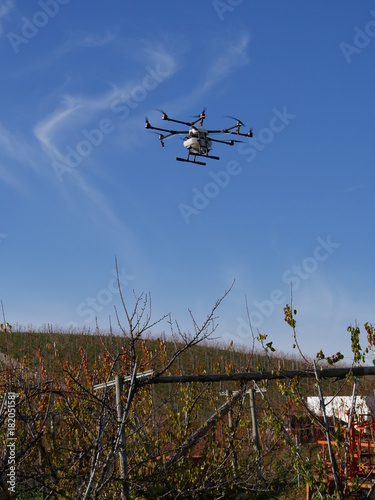 Drohne über Weinberg - Kopter in der Landwirtschaft
