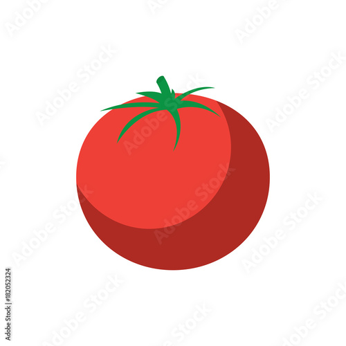 tomato vegetable icon image vector illustration design 