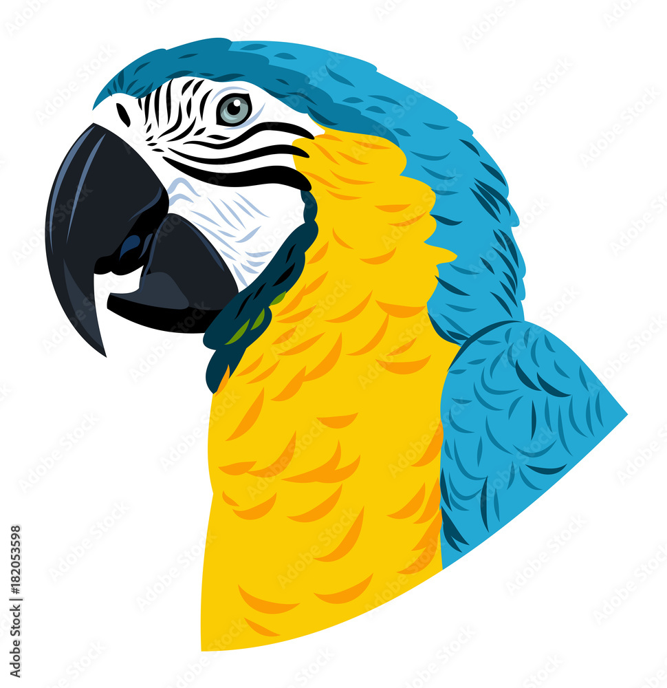 Naklejka premium Portret papugi Ara