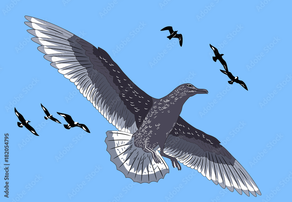 Obraz premium Hovering in the sky petrel