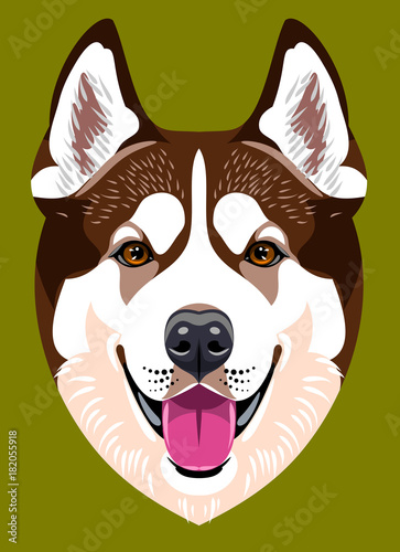 Portrait of a Husky dog breed