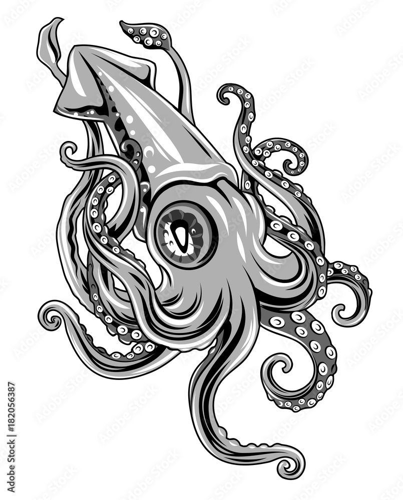 Fototapeta premium Picture of squid