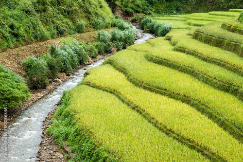 Rice field terraced and river in Mu cang chai